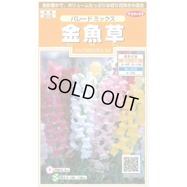 画像1: 送料無料　花の種　金魚草　パレードミックス　約145粒　　(株)サカタのタネ　実咲200（026316） (1)