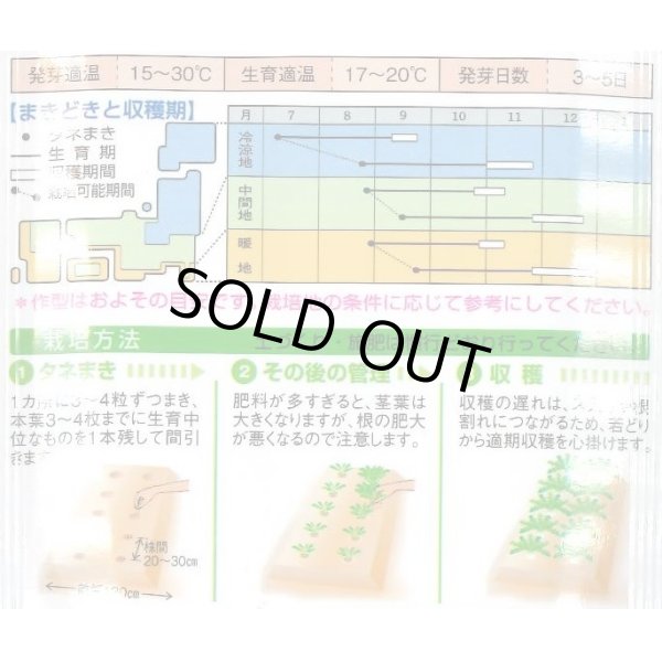 画像2: [大根]　耐病宮重　18ml　タキイ種苗(株)　DF (2)