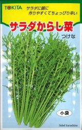 画像: 送料無料　[葉物]　サラダからし菜　12ml　トキタ種苗(株)