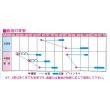 画像2: 送料無料　[大根]　紅岬　3ml　渡辺交配 (2)