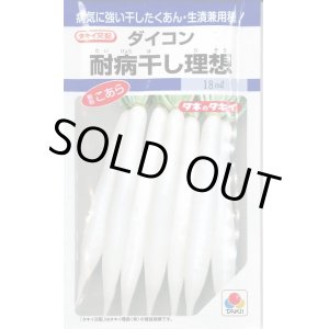 画像: 送料無料　[大根]　耐病干し理想　16ml　タキイ種苗(株)　DF