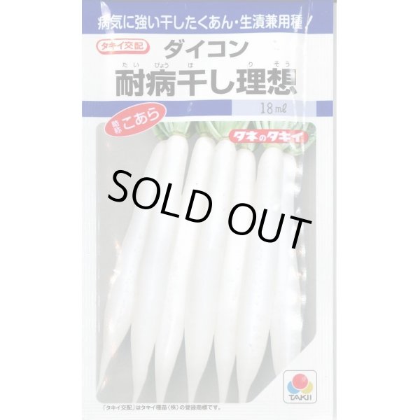 画像1: 送料無料　[大根]　耐病干し理想　16ml　タキイ種苗(株)　DF (1)