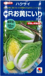 画像: 送料無料　[白菜]　CRお黄にいり　20ml　貴種(コートしてません)　タキイ種苗(株)