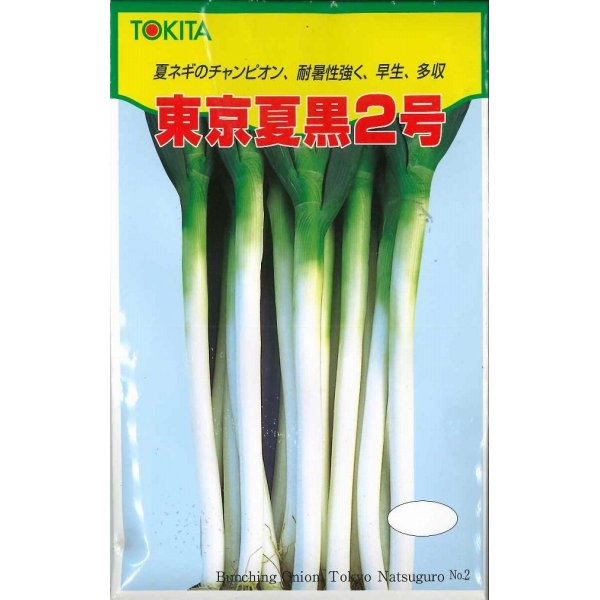 ねぎ] 東京夏黒２号 20ml トキタ種苗（株）(野菜種/ネギ)グリーン