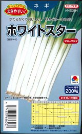 画像: 送料無料　[ねぎ]　ホワイトスター　ペレット200粒　タキイ種苗(株)