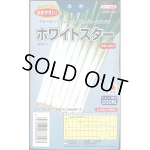 画像: 送料無料　[ねぎ]　ホワイトスター　ペレット200粒　タキイ種苗(株)