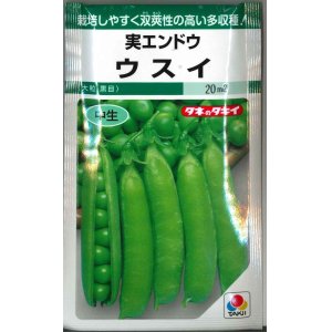 画像: 送料無料　[えんどう]　実エンドウ　ウスイ　18ml　タキイ種苗　GF