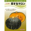 画像2: 送料無料　[かぼちゃ]　恋するマロン　50粒　カネコ交配 (2)