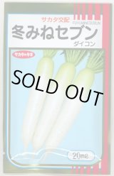 画像: 送料無料　大根　冬みねセブン　20ml　(株)サカタのタネ