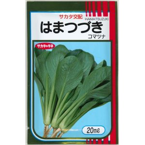 画像: 送料無料　[小松菜]　はまつづき　20ml　（株）サカタのタネ