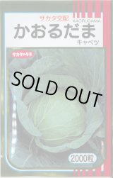 画像: 送料無料　[キャベツ]　かおるだま　2000粒　（株）サカタのタネ