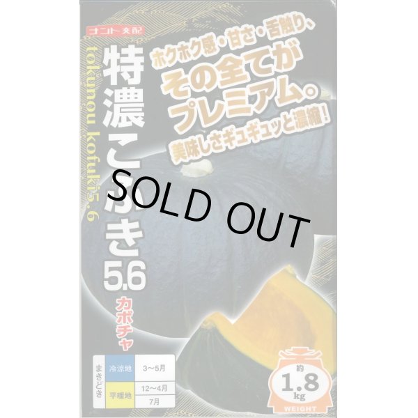 画像1: 送料無料　[かぼちゃ]　特濃こふき5.6　小袋(7粒入り)　ナント種苗(株) (1)