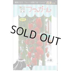 画像: 送料無料　[トマト/ミニトマト]　フラガール　8粒　トキタ種苗(株)