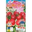 画像1: 送料無料　[トマト/ミニトマト]　シュガリーテール　15粒　ナント種苗(株) (1)