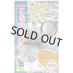 画像: 送料無料　[かぼちゃ]　こなゆきひめ　6粒　ナント種苗(株)