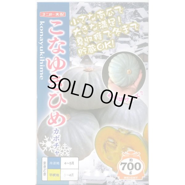 画像1: 送料無料　[かぼちゃ]　こなゆきひめ　6粒　ナント種苗(株) (1)