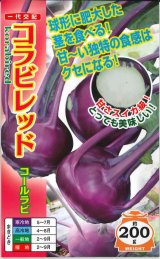 画像: 送料無料　[キャベツ]　コールラビ　コラビレッド　60粒　ナント種苗(株)