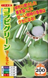 画像: 送料無料　[キャベツ]　コールラビ　コラビグリーン　60粒　ナント種苗(株)