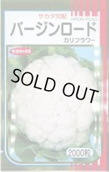 画像: 送料無料　[カリフラワー]　バージンロード　2000粒　(株)サカタのタネ