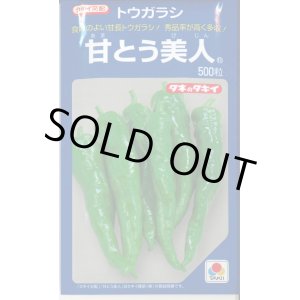 画像: 送料無料　[とうがらし]　甘とう美人　500粒　タキイ種苗(株)