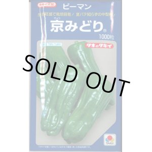 画像: 送料無料　[ピーマン]　京みどり　1000粒　タキイ種苗(株)