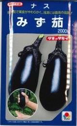 画像: 送料無料　[なす]　みず茄子　2000粒　タキイ種苗(株)