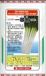 画像: 送料無料　[ねぎ]　一翠太　20ml　カネコ交配