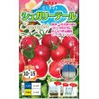 画像1: 送料無料　[トマト/ミニトマト]　シュガリーテール　500粒　ナント種苗(株) (1)