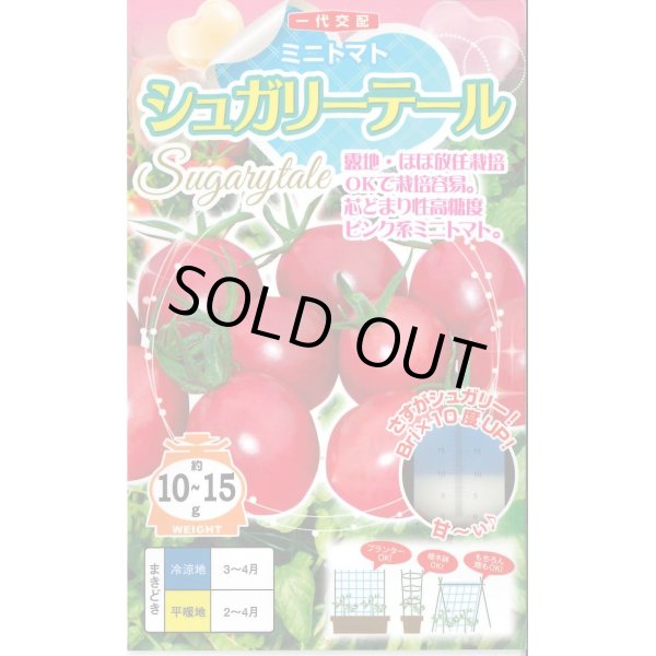 画像1: 送料無料　[トマト/ミニトマト]　シュガリーテール　500粒　ナント種苗(株) (1)