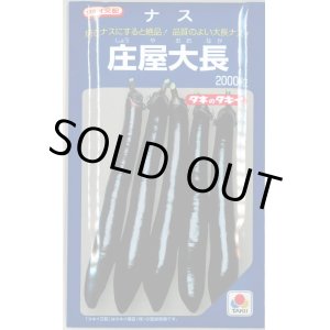 画像: 送料無料　[なす]　庄屋大長　2000粒　タキイ種苗(株)