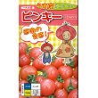 画像1: 送料無料　[トマト/ミニトマト]　ピンキー　500粒　ナント種苗(株) (1)