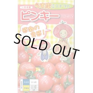 画像: 送料無料　[トマト/ミニトマト]　ピンキー　500粒　ナント種苗(株)