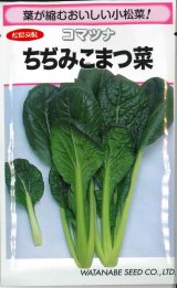 画像: 送料無料　[小松菜]　ちぢみこまつ菜　20ml(およそ4900粒)　(株)渡辺採種場