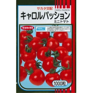 画像: 送料無料　[トマト/ミニトマト]　キャロルパッション　1000粒　(株)サカタのタネ