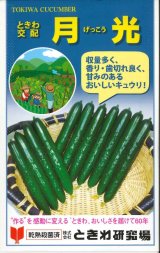 画像: 送料無料　[キュウリ]　月光　20粒　(株)(株)ときわ研究場