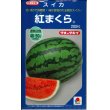 画像1: 送料無料　[スイカ]　大玉スイカ　紅まくら　200粒　タキイ種苗(株) (1)