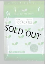 画像: 送料無料　[かぼちゃ]　ミニカボチャ　パンプキッズ　500粒　カネコ交配