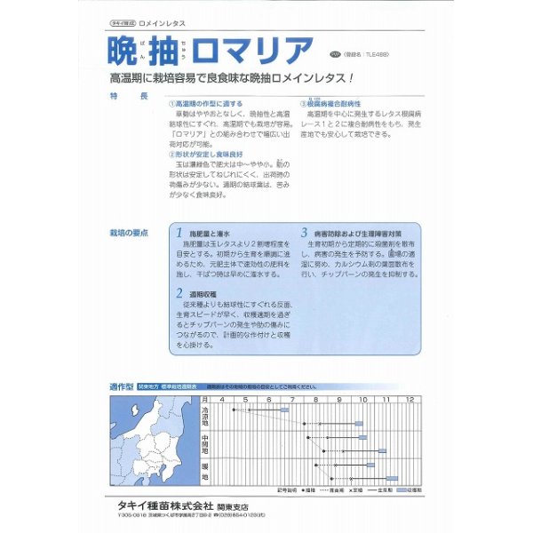 画像4: 送料無料　[レタス]　ロメインレタス　晩抽ロマリア　ペレット種子100粒　タキイ種苗(株) (4)