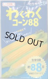 画像: 送料無料　[とうもろこし]　わくわくコーン88　100粒　カネコ交配