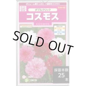 画像: 送料無料　花の種　コスモス　ダブルクリック　約36粒　(株)サカタのタネ　実咲350（026109）