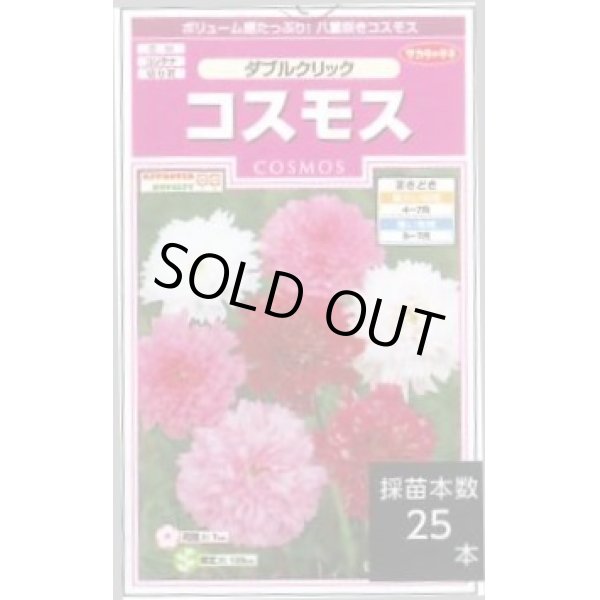 画像1: 送料無料　花の種　コスモス　ダブルクリック　約36粒　(株)サカタのタネ　実咲350（026109） (1)