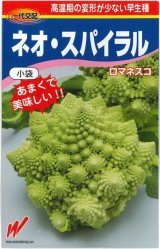 画像: 送料無料　[カリフラワー]　ネオ・スパイラル　20粒　渡辺農事