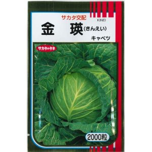 画像: 送料無料　[キャベツ]　金瑛　2000粒　（株）サカタのタネ