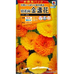 画像: 送料無料　花の種　お徳用パック！　切花向　金盞花　スター混合　タキイ種苗(株)