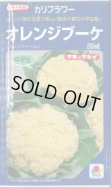 画像: 送料無料　[カリフラワー]　オレンジブーケ　20ml　タキイ種苗(株)