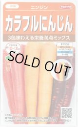 画像: 送料無料　人参　カラフルにんじん　約470粒　(株)サカタのタネ実咲450（003112）