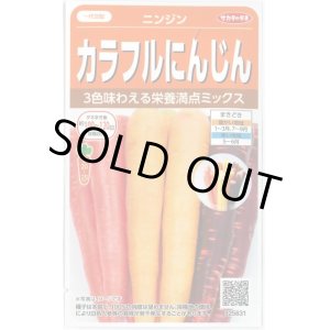 画像: 送料無料　人参　カラフルにんじん　約470粒　(株)サカタのタネ実咲450（003112）