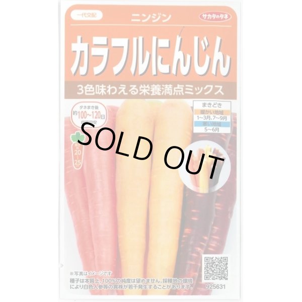 画像1: 送料無料　人参　カラフルにんじん　約470粒　(株)サカタのタネ実咲450（003112） (1)