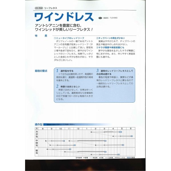 画像3: 送料無料　[レタス]　リーフレタス　ワインドレス　ペレット100粒　タキイ種苗(株) (3)