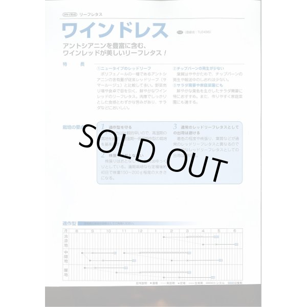 画像3: 送料無料　[レタス]　リーフレタス　ワインドレス　ペレット5千粒　タキイ種苗(株) (3)